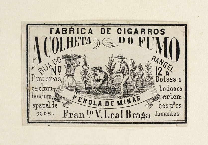 vizualizar o documento on line